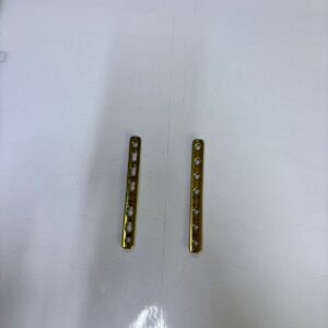 1/3 yünlüler plak