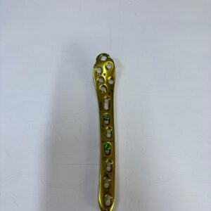 Proximal femur